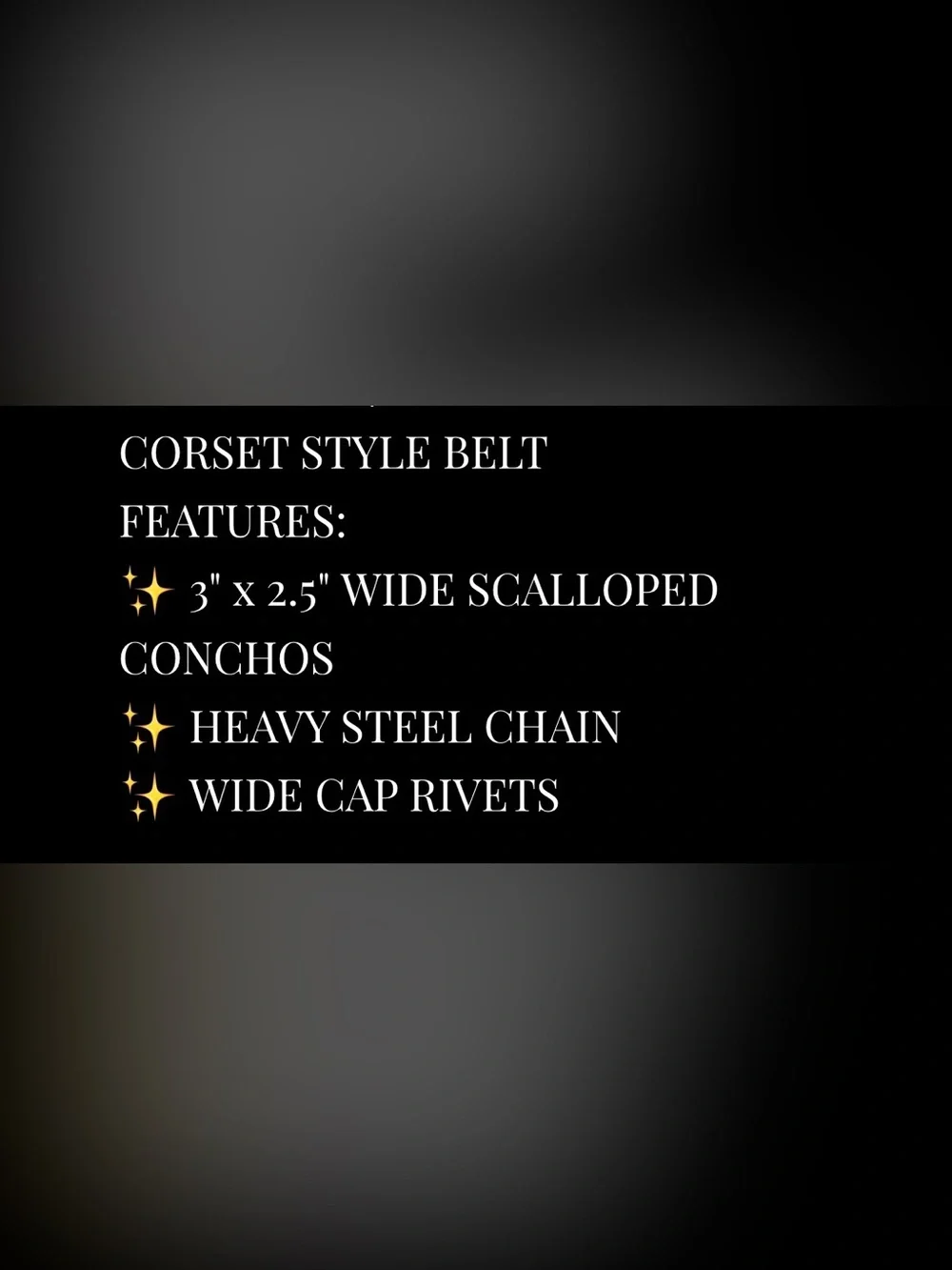 The Heiress Black Leather Chain Corset Belt